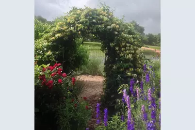 256 Royalview Dr, Fredericksburg, TX 78624 - Photo 64