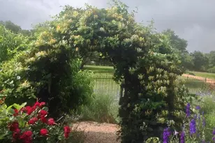 256 Royalview Dr, Fredericksburg, TX 78624 - Photo 64