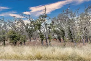 226 Outland Dr, Harper, TX 78631 - Photo 30