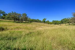315 Rieger Rd, Harper, TX 78631 - Photo 26