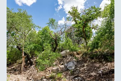 1632 Link, Doss, TX 78618 - Photo 14