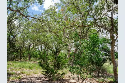 1632 Link, Doss, TX 78618 - Photo 18