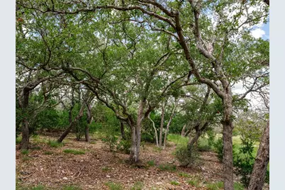 1632 Link, Doss, TX 78618 - Photo 8