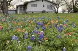 303 Walnut St, Fredericksburg, TX 78624 - Photo 30
