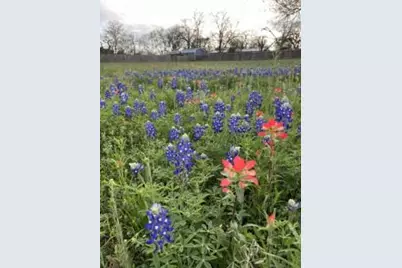 303 Walnut St, Fredericksburg, TX 78624 - Photo 32