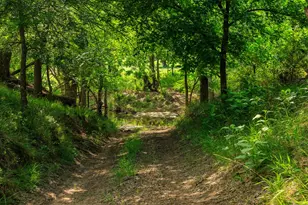 199 Lexington Dr, Fredericksburg, TX 78624 - Photo 30