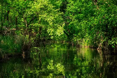 199 Lexington Dr, Fredericksburg, TX 78624 - Photo 2