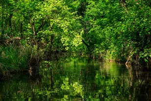 199 Lexington Dr, Fredericksburg, TX 78624 - Photo 2