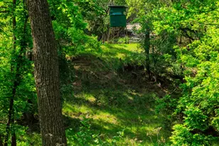 199 Lexington Dr, Fredericksburg, TX 78624 - Photo 26