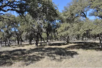 371 Kimble Oaks Dr, Harper, TX 78631 - Photo 2