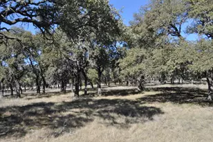 371 Kimble Oaks Dr, Harper, TX 78631 - Photo 2