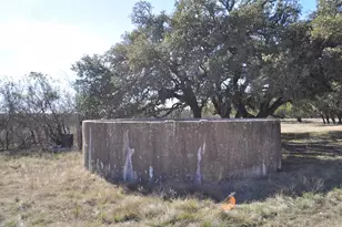 371 Kimble Oaks Dr, Harper, TX 78631 - Photo 8