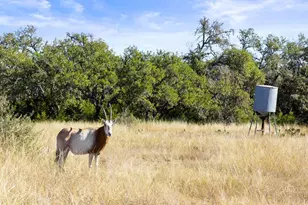 1292 Upper Turtle Creek Rd, Kerrville, TX 78028 - Photo 64