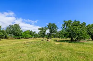 8218 N US Hwy 87, Fredericksburg, TX 78624 - Photo 24
