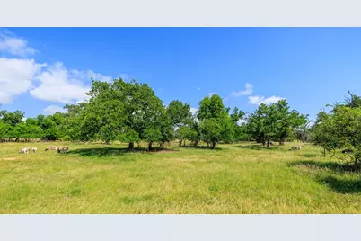 8218 N US Hwy 87, Fredericksburg, TX 78624 - Photo 22