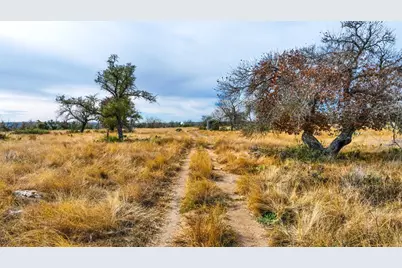 875 Old Harper Rd, Fredericksburg, TX 78624 - Photo 16