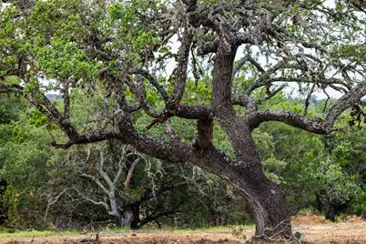 1050 Cain City Rd, Fredericksburg, TX 78624 - Photo 12