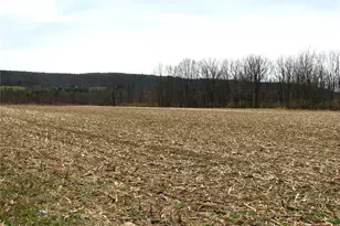 0 Fredericks Grove Rd, Mahoning Twp, PA 18235 - Photo 4