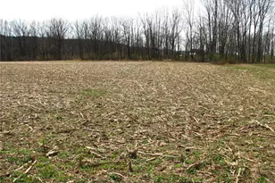 0 Fredericks Grove Rd, Mahoning Twp, PA 18235 - Photo 2