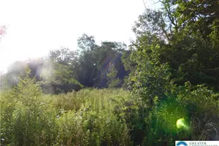 0 Lincoln Dr, Rush Twp, PA 18252 - Photo 2