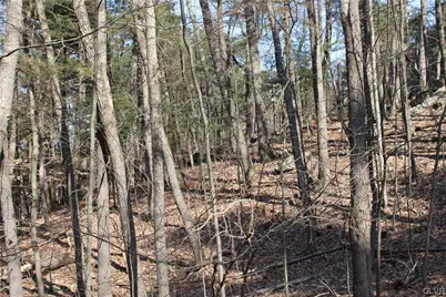 Deer Path 21, Price Twp, PA 18302 - Photo 4