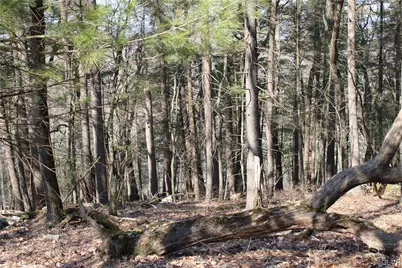 Deer Path 21, Price Twp, PA 18302 - Photo 6