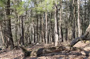 Deer Path 21, Price Twp, PA 18302 - Photo 6