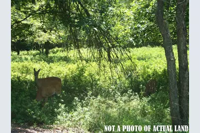 704 Wychewood Road, Kidder, PA 18210 - Photo 1