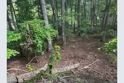 0 N Highland, Pottsville, PA 17901 - Photo 1