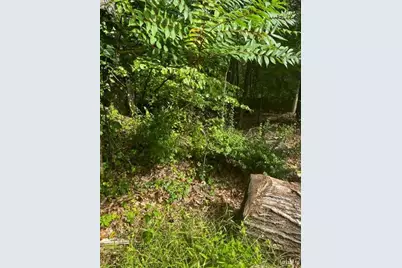 0 N Highland, Pottsville, PA 17901 - Photo 2