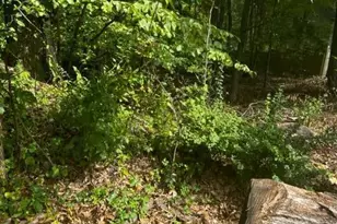 0 N Highland, Pottsville, PA 17901 - Photo 2