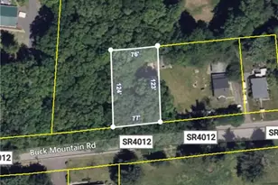 Buck Mountain Rd, Lehigh Twp, PA 18255 - Photo 6