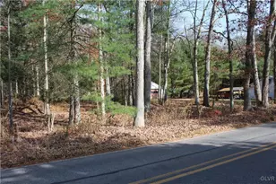 Buck Mountain Rd, Lehigh Twp, PA 18255 - Photo 2