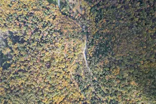 609 Catawissa Rd, Walker Twp, PA 18252 - Photo 8