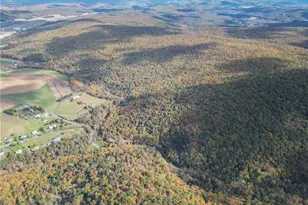 609 Catawissa Rd, Walker Twp, PA 18252 - Photo 10