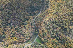 609 Catawissa Rd, Walker Twp, PA 18252 - Photo 12