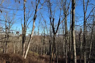 Eagles (Bush) Ct, Stroud Twp, PA 18360 - Photo 8