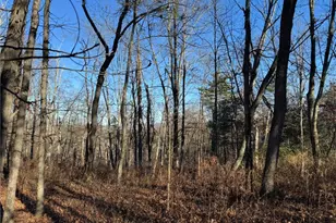 Eagles (Bush) Ct, Stroud Twp, PA 18360 - Photo 6