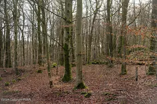 0 Pine Creek Rd, Wayne, PA 18428 - Photo 4