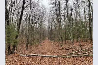 15 Mimosa Rd, East Stroudsburg, PA 18302 - Photo 1