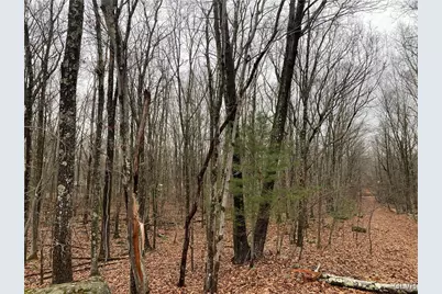 15 Mimosa Rd, East Stroudsburg, PA 18302 - Photo 4