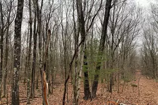 15 Mimosa Rd, East Stroudsburg, PA 18302 - Photo 4