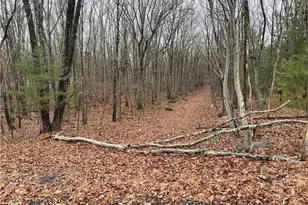 15 Mimosa Rd, East Stroudsburg, PA 18302 - Photo 2