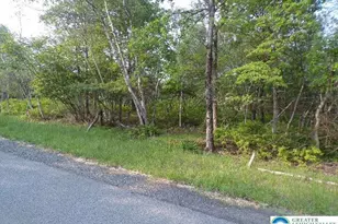 Claremont Dr, Tunkhannock Twp, PA 18210 - Photo 2