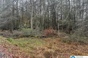 Mills Dr, Kidder Twp, PA 18210 - Photo 4