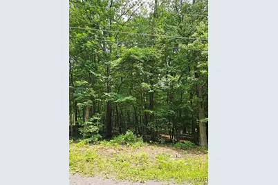 Dowbush Road, Mahoning Twp, PA 18235 - Photo 2