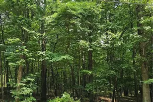 Dowbush Rd, Mahoning Twp, PA 18235 - Photo 2