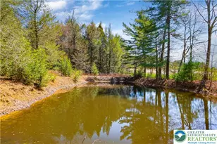 376 H.T.Y. Rd, Polk Twp, PA 18058 - Photo 28