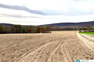 9170 N Loop Rd, Washington Township, PA 18080 - Photo 1