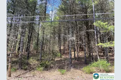 2 Haney Road, Polk Twp, PA 18058 - Photo 6